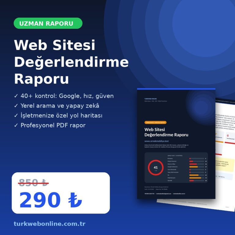 Web Sitesi Değerlendirme Raporu